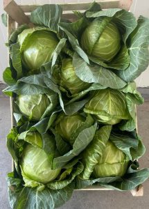 Spring Cabbage North Macedonia to Poland Export